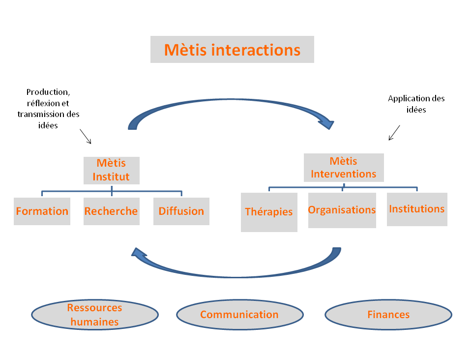 Structuration groupe Metis